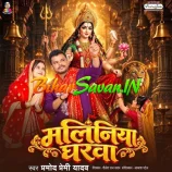 Maliniya Gharwa